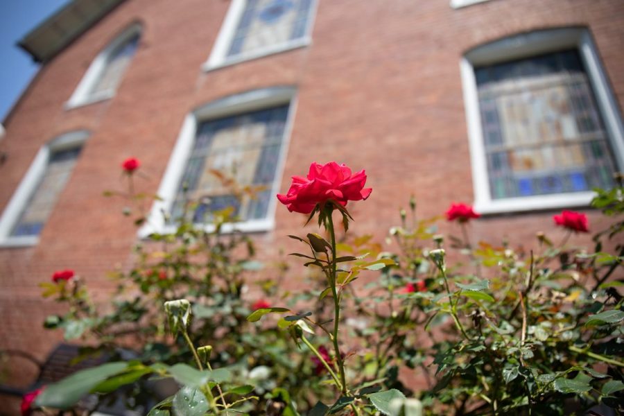 Campus Psychologist On Mental Health Conditions in College