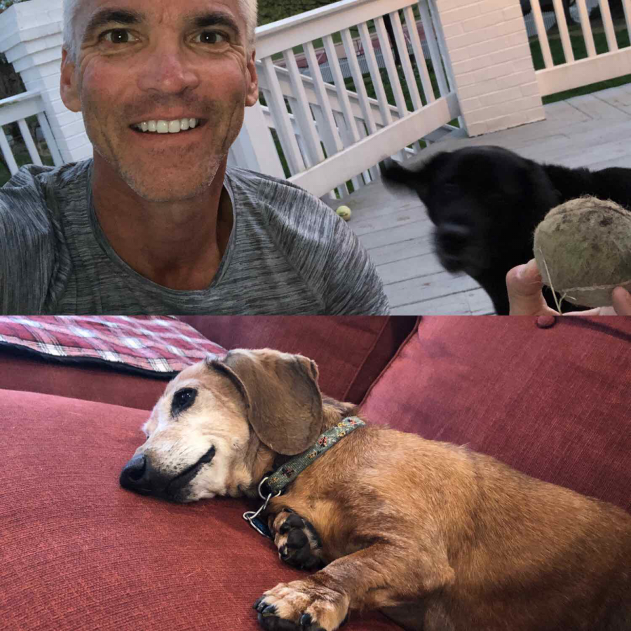 President David Bushman said his dogs Penny (top) and Ally (bottom), are “not very helpful when it comes to my Biology 110 class, meetings with the vice presidents or trustees,” so they tend to do dog things like sleeping on the couch when he’s working. “But their superpower is stress reduction after work,” said Bushman. 
