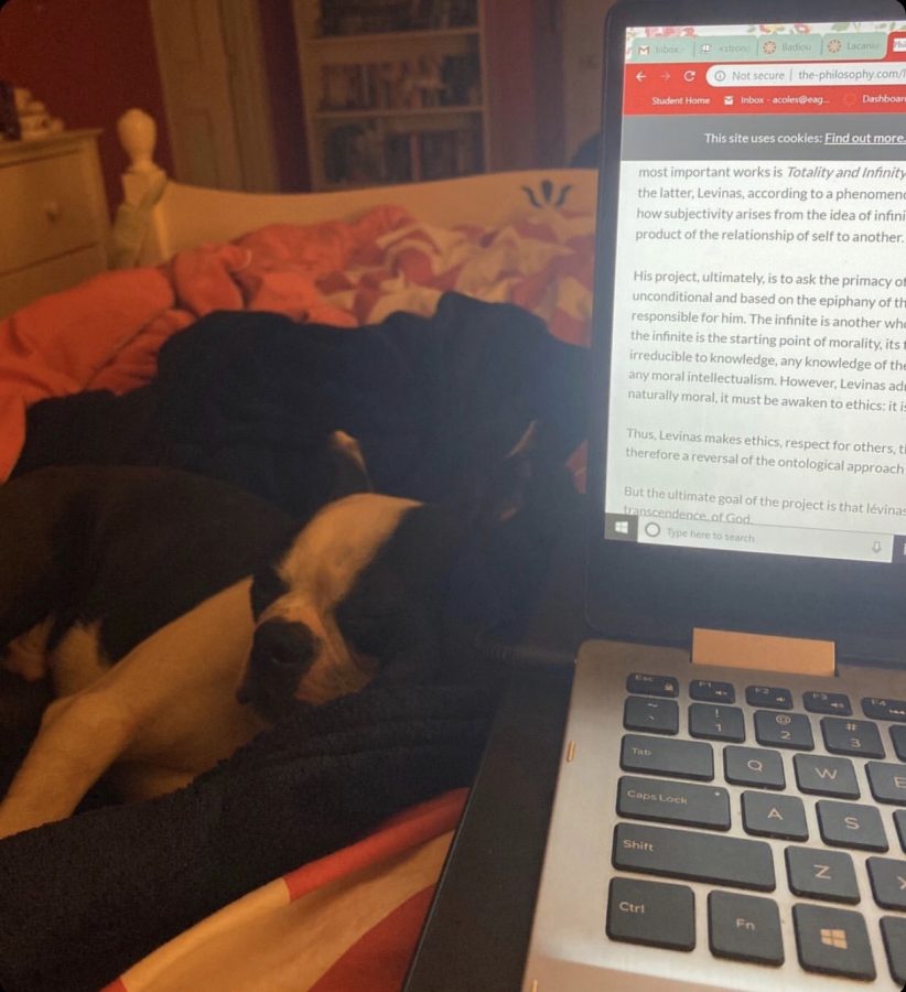 Finn belongs to senior Allisa Coles. “Finn is usually quite the distraction while I’m trying to do homework as he only turned one this month,” said Coles. “But I think he’s finally getting the hang of the whole ‘work from home’ thing.” 