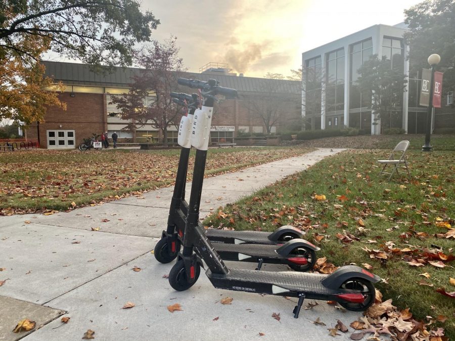 Bird scooters on campus