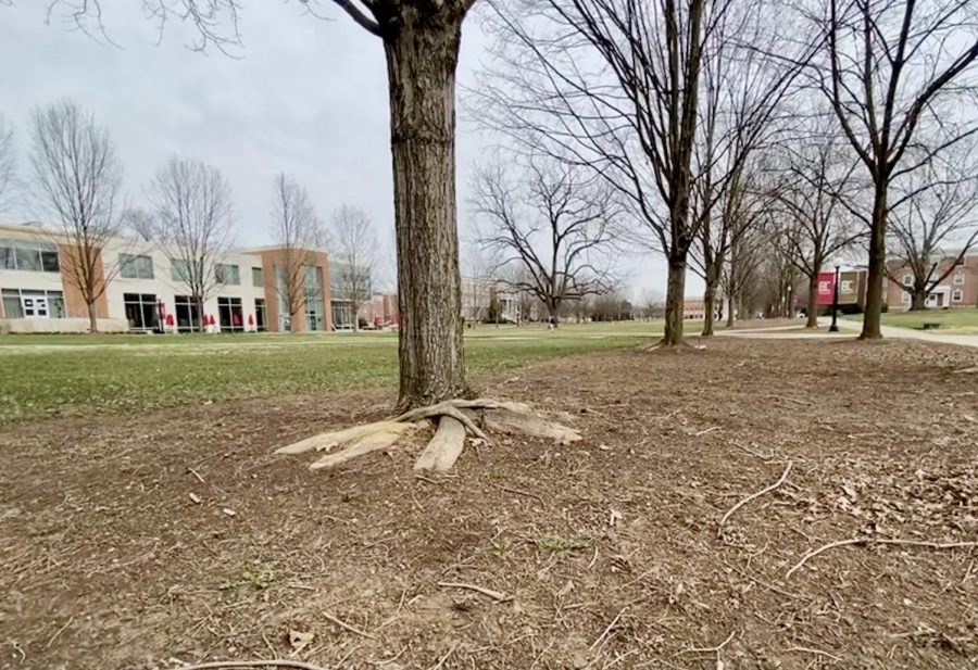 Campus Mall (FLC in the background)