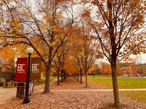 Bridgewater Campus mall during fall