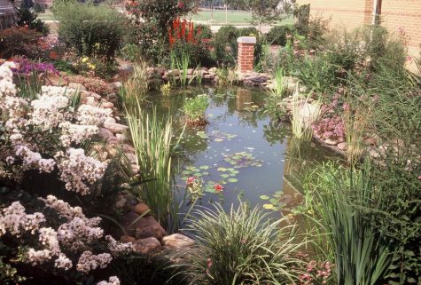 The Shrum memorial garden in 2019