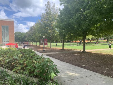 The sidewalk in front of the Forrer Learning commons.