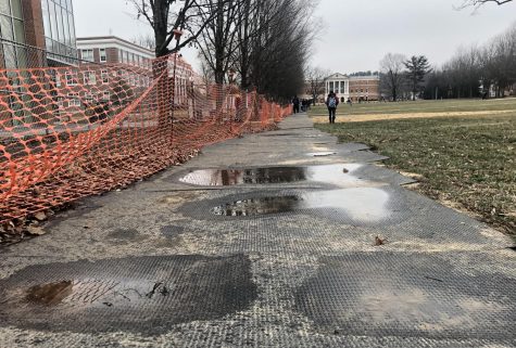 rubber mat walkway