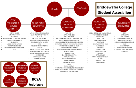 Chart of clubs as categorized by BCSA