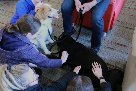 Students pet therapy dogs