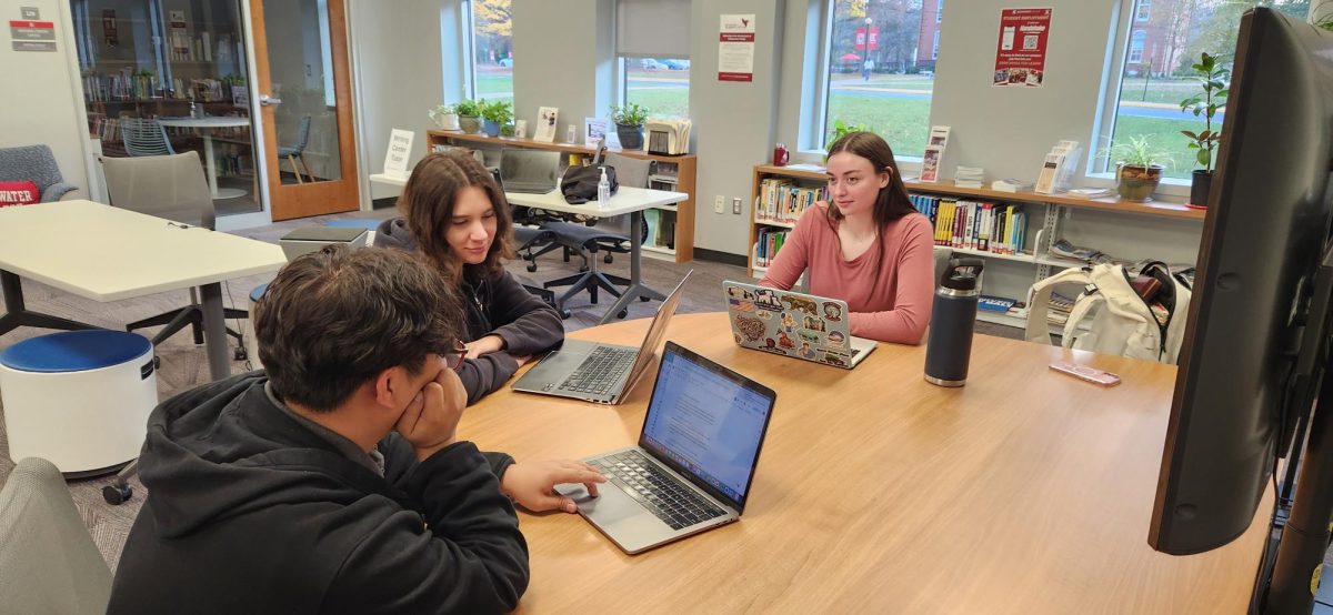 Bridgewater College graduate students will utilize collaborative learning in the nonprofit management graduate program like those shown in the image. Nonprofit management education provides unique educational approaches such as collaborative and experiential learning, preparing students for a career in nonprofit management.