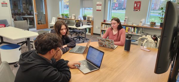 Bridgewater College students utilize collaborative learning as a part of nonprofit management education. Nonprofit management education provides unique educational techniques such as collaborative learning and experiential learning, preparing students for a career in nonprofit management.