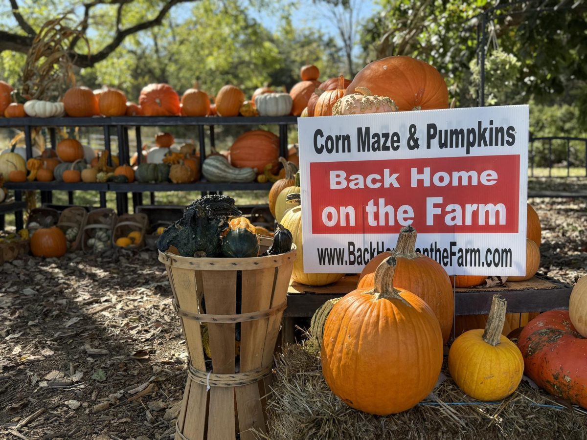 Pumpkins and gourds on display at Back Home on the Farm in Harrisonburg, Va., where visitors enjoyed fall attractions including a corn maze and pumpkin patch.