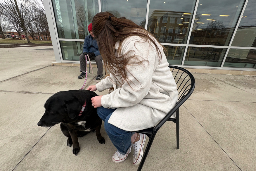 Rachel Sindicic petting Lacey in front of the FLC. Lacey is calm and enjoying it.  
